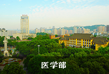 医学部